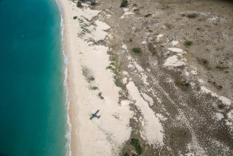 Plane shadow flying over beach and sea.