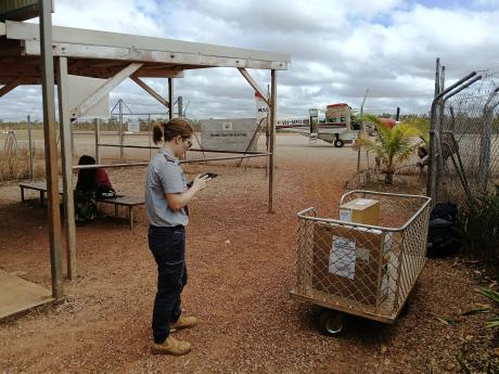 Pilot with luggage trolley